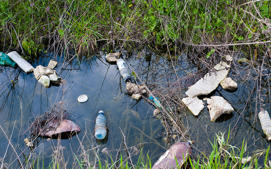 ambiente-ecosistemas