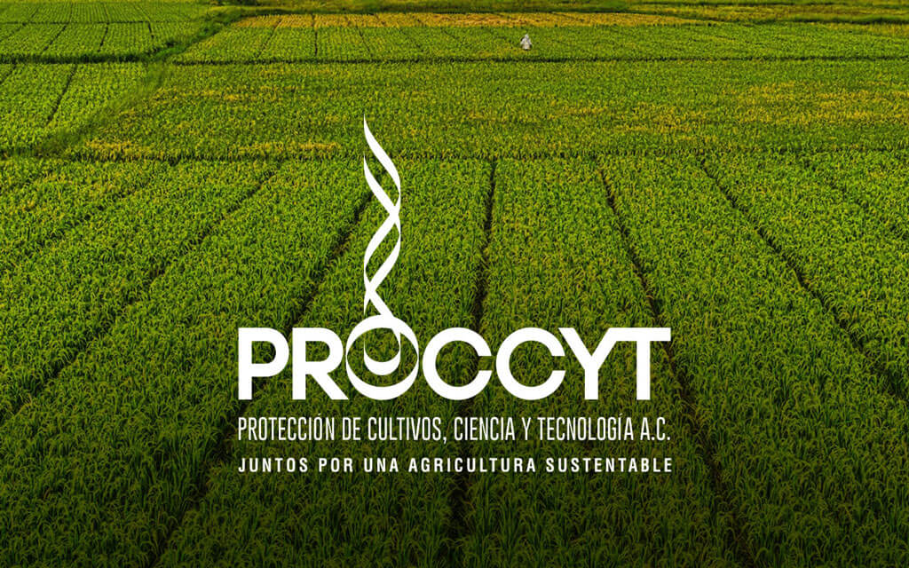 (c) Proccyt.org.mx
